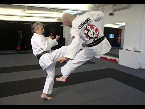 Kampfsport-Legende Geert Lemmens: Er lehrte die Luden das Kämpfen