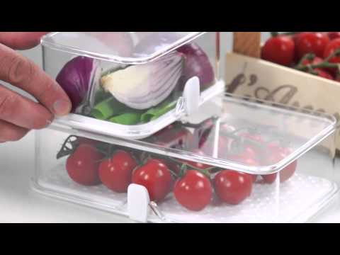 Healthy containers for the refrigerator