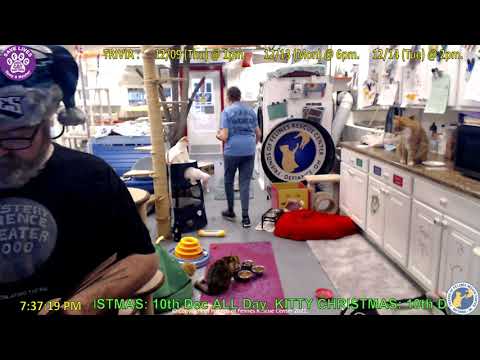 Storytime with Billypogo 12-08-2021  Friends of Felines Rescue Center (FFRC)