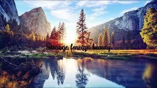 Strange Foreign Beauty - Michael Learns to Rock (Lyrics)