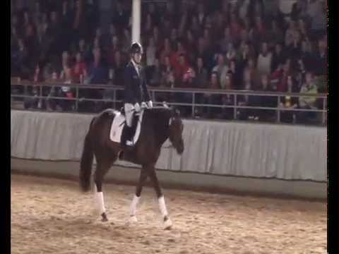 BARRIOS v. Belissimo M x Fidermark - Auktionsparade Münster-Handorf 05.04.2014