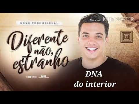 Wesley Safadão - DNA do interior (repertório 2018)