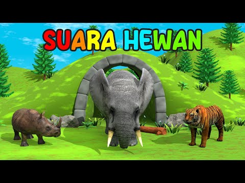Suara Hewan 🐯❤️🐮 Lagu Anak Indonesia Balita