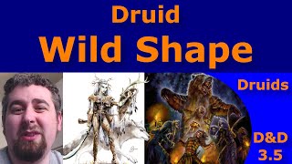 D&D 3.5 Druid Wild Shape (A Deeper Dive)