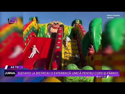 Elefanți la Bistrița! O experiență unică pentru copii și părinți