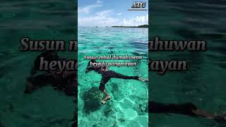 Download lagu ATG_Peddih Tinambanan  mp3