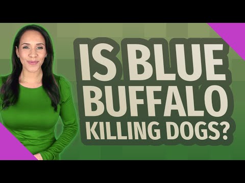 Is Blue Buffalo killing dogs?