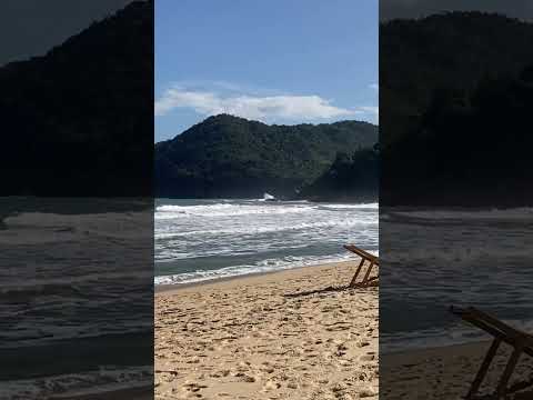 Pria do Sono - Paraty, Brazil  #beach #brasil #riodejaneiro #parati #priadosono #dog #cutedog