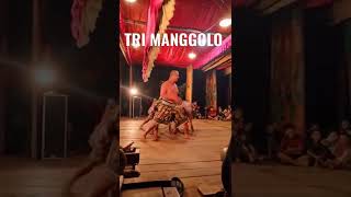 Download lagu Terbaru ❗❗ Atraksi kepruke TRI MANGGOLO BUDOYO live Ds Sokogunung mp3 Download lagu Terbaru ❗❗ Atraksi kepruke TRI MANGGOLO BUDOYO live Ds Sokogunung mp3