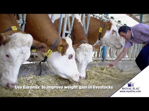 , title : 'EUROMIX : Combined feed supplement to improve fertility and to increase milk and meat yields'