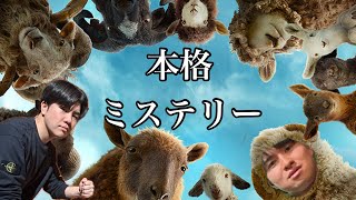 【ひつじ探偵団】ひつじなのに名探偵だし面白い？！【映画レビュー】