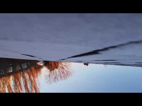 I crashed my drone, on top of a roof