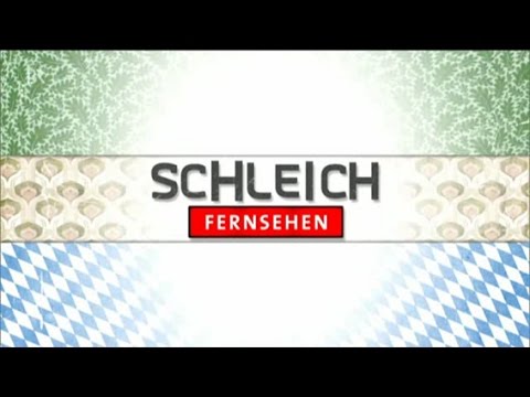 Schleichfernsehen (19.05.2016) mit  Lothar Boelck (Kanzleramt Pforte D)