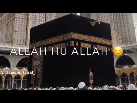 Ya Rabbal Alamin Allahu Allah ❤️😇 | New NAAT Whatsapp Status 👌 | World Of Ahlesunnah 😇