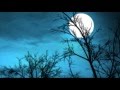 JOE HARNELL & HIS ORCHESTRA - FLY ME TO THE MOON (BOSSA NOVA)
