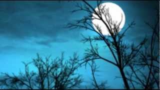 JOE HARNELL & HIS ORCHESTRA - FLY ME TO THE MOON (BOSSA NOVA)