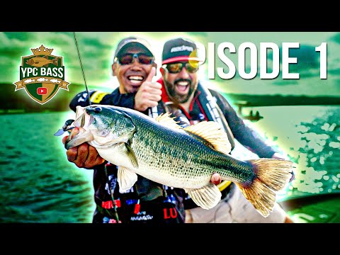 Bass Superstars VS Predator Experts | YPC BASS 2023 Episode 1