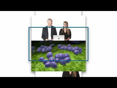 Echo MasterClass – updated version out now!