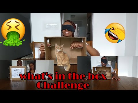 WHAT'S IN THE BOX CHALLENGE /  DON'T CHOOSE THE WRONG MYSTERY DRINK CHALLENGE ** BLINDFOLD EDITION**
