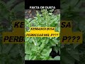 Daun Kemangi Bisa Perbesar MR P Shorts Health Herbal