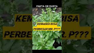 Download lagu Daun Kemangi Bisa Perbesar MR. P 😱😱#shorts #health #herbal mp3 Download lagu Daun Kemangi Bisa Perbesar MR. P 😱😱#shorts #health #herbal mp3