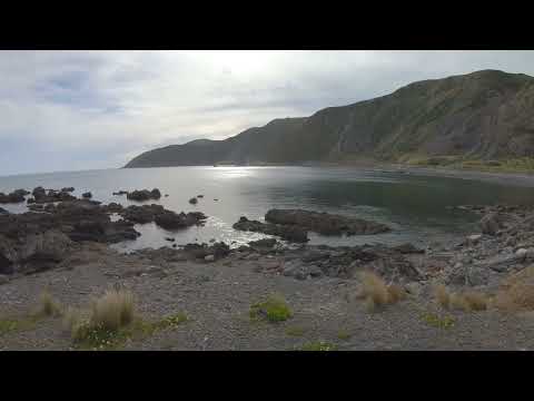Lyall Bay Beach Wellington