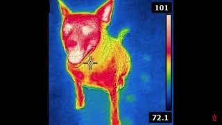 New xxx song Ghostbusters