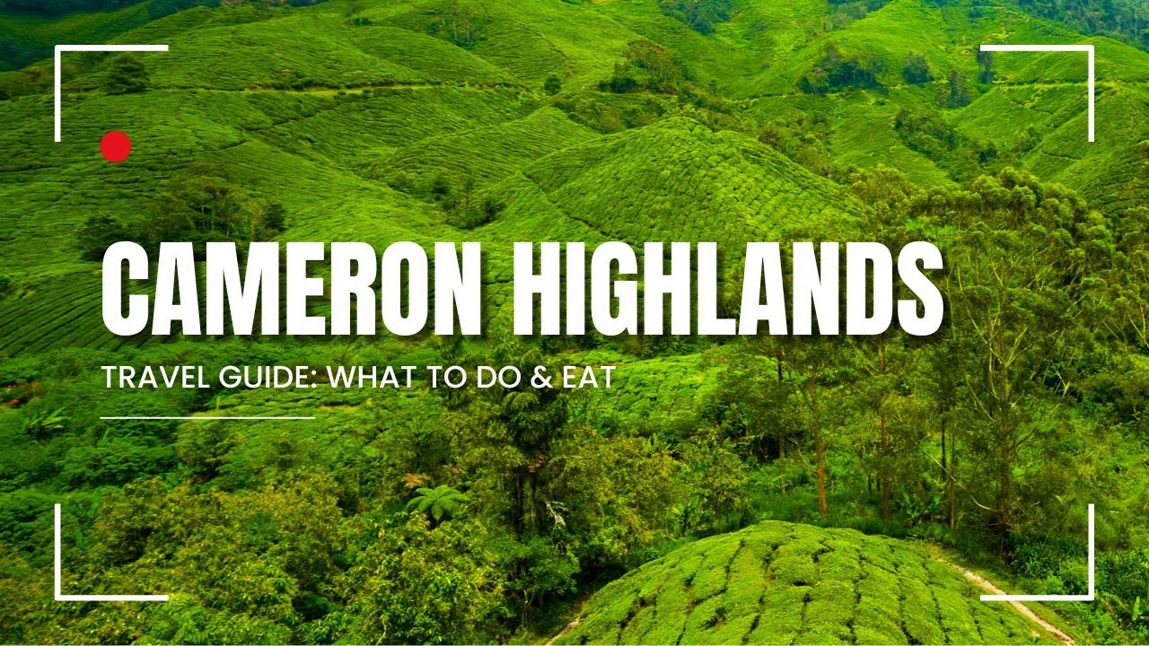 Cameron Highlands Travel Guide: What To Do & Eat!