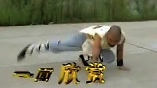 Shaolin plum-flower kung fu (mei hua quan)