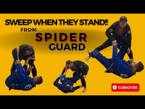 Sweep them everytime!!! BJJ Spider Guard Sweep basics you MUST know!