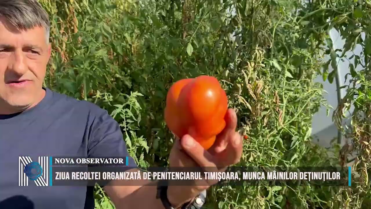 Ziua Recoltei organizată de Penitenciarul Timișoara, munca mâinilor deținuților