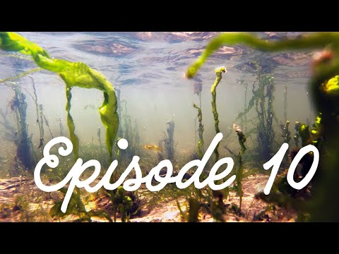 #10 While We Wait Let's Fix a Boat - Dutch Barge Home