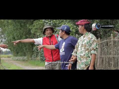 cak-silo-sawahe-ditebas-padahal-ijek-ijo-ijo-ngono-yo-dikekno-ae-neng-penebaseoalah-emboh-cak