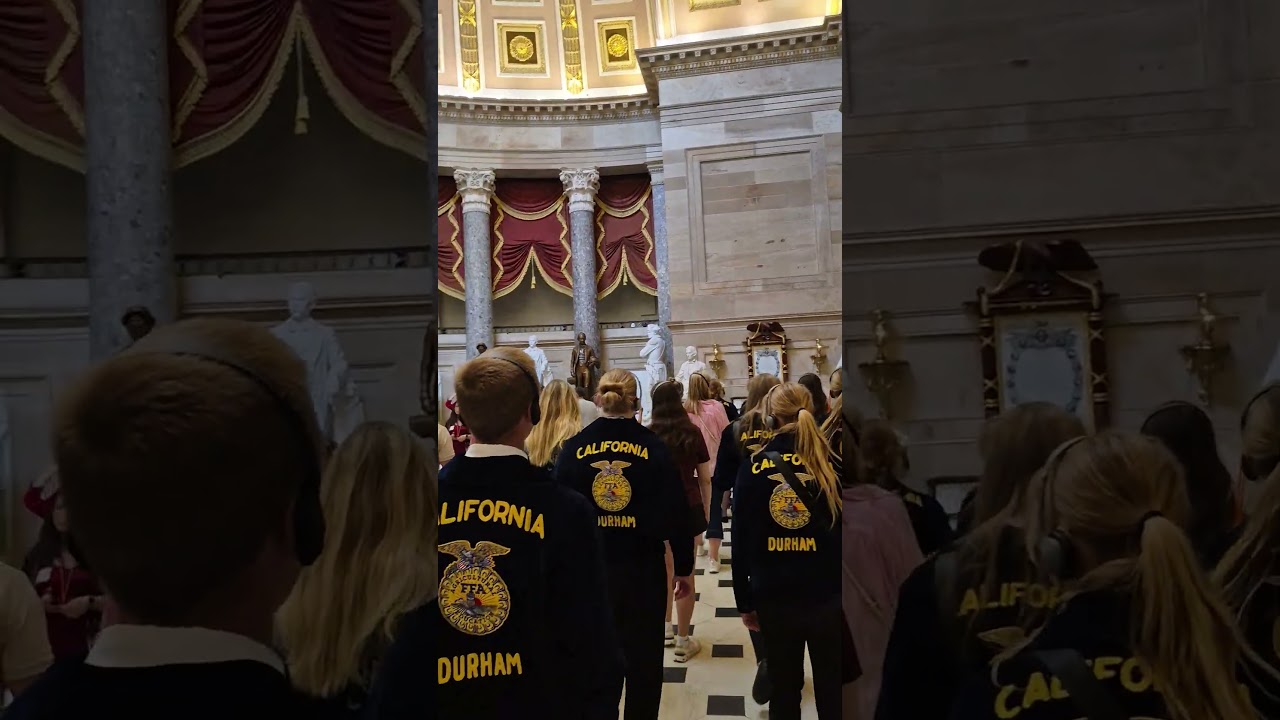 Walking Through the National Statuary Hall in the U.S. Capitol漫步美国国会的国家雕像大厅 #history #tourist