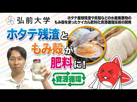 ホタテ養殖残渣や貝殻などの水産廃棄物のもみ殻を使ったケイカル肥料化資源循環技術の開発：地域戦略研究所 吉田 曉弘先生【2022年9～10月制作】