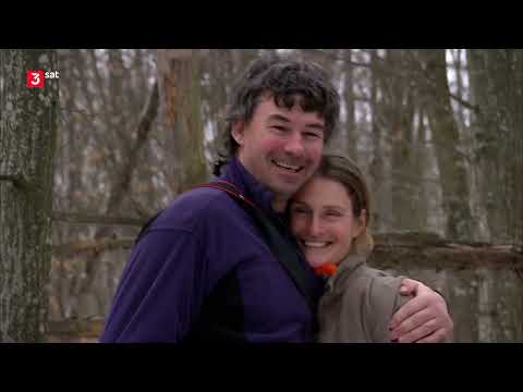 Radioactive wolves around Chernobyl - Documentary (German)