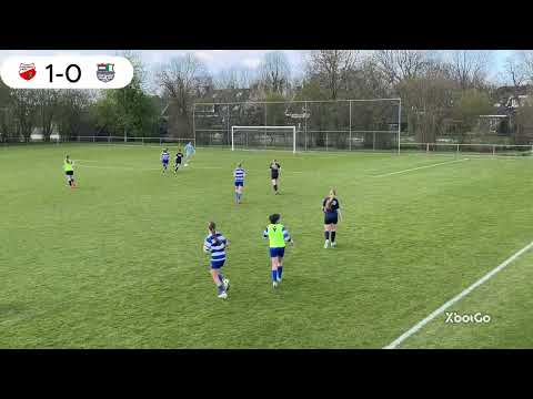 Kozakkenboys - Xerxes DZB