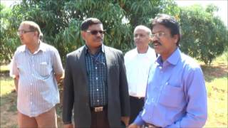 NICRA Field Trials on Flower Induction in Mango