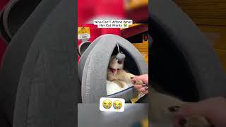 Nina can’t afford what her cat wants #ninadadddyisback #kaicenat #ishowspeed