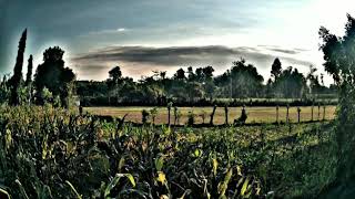 Download lagu Story WA steven & coconut treez KEMBALI (ACOUSTIC VERSION) mp3