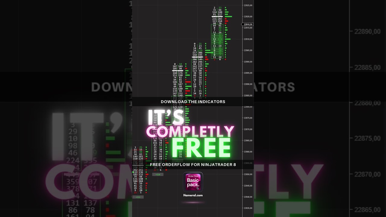 🚀 FREE Order Flow for NinjaTrader 8! ✅ Volume Profile✅ VWAP✅ Delta Bars✅ Footprint 🎁 Download now