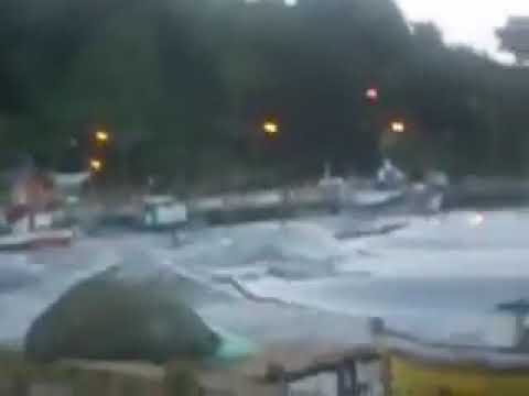 Tsunami strikes port, Queule, Araucanía, Chile