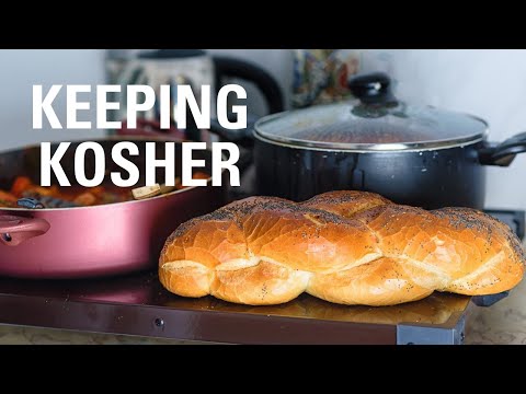 EARTH, AIR AND WATER | Parshat Shemini with Rabbi Moishe New