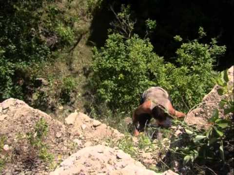 Furia sangrenta dublado