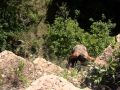 Furia Sangrenta Dublado