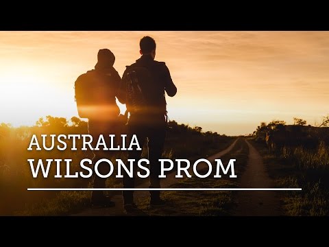 AUSTRALIAN WILDLIFE IN WILSON'S PROMONTORY