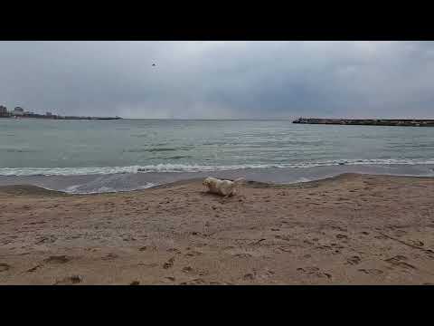 La scăldat, Plaja Mangalia