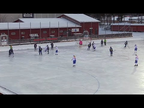 «Falu BS»-«Västanfors IF» 11 dec /Bandyallsvenskan 2022-23/