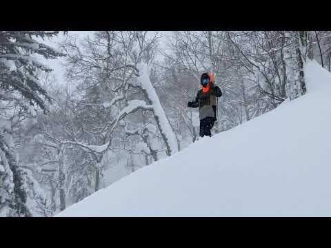 Hokkaido Powder Fun in Furano #Japow #Furano #富良野 #パウダー #Hokkaido #北海道