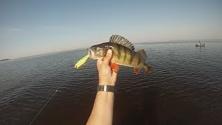 Воблеры на окуня рапала